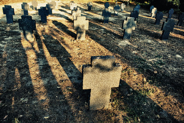 Similar image 13278351