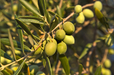 Similar image 13278353