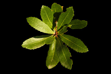 Similar image 13278388