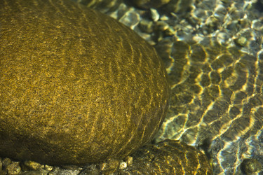 Similar image 13278392