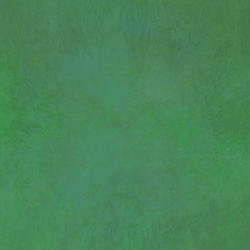 Similar image 13249321