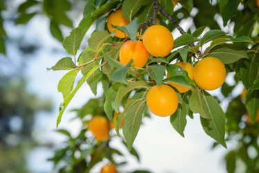 Similar image 13264811