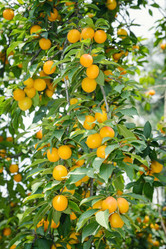 Similar image 13264812