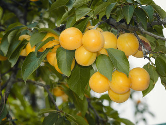 Similar image 13264813