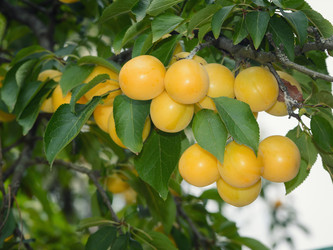 Similar image 13264814