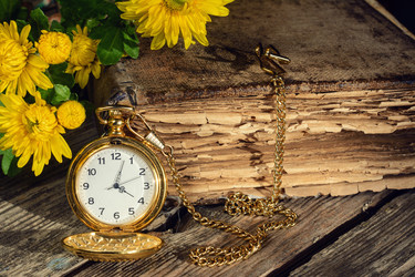 Similar image 13264836