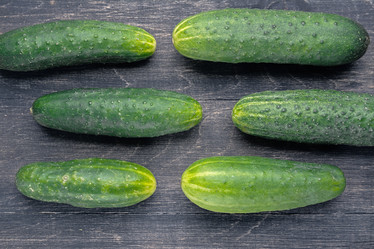 Similar image 13264882