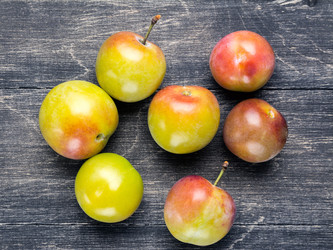 Similar image 13264874