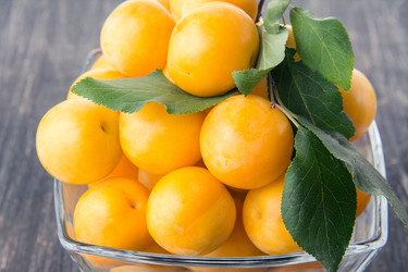 Similar image 13264892