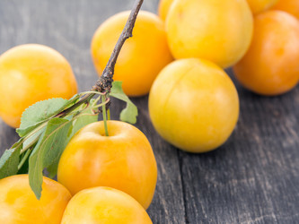 Similar image 13264898