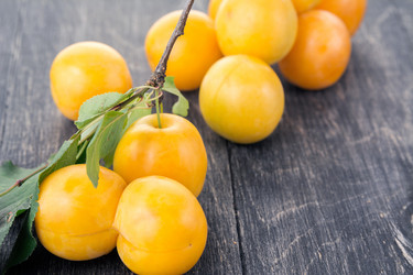 Similar image 13264900