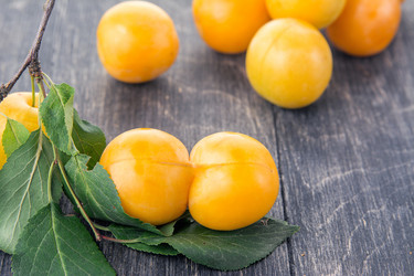 Similar image 13264901