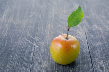 Similar image 13264905