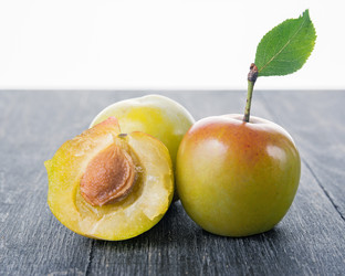 Similar image 13264906