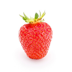 Similar image 13263600