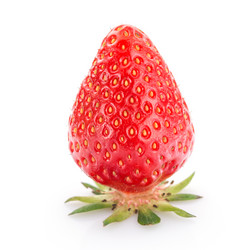 Similar image 13263624