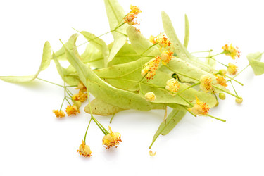 Similar image 13263665