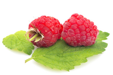 Similar image 13263674