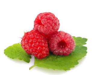 Similar image 13263678