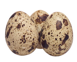 Similar image 13263699