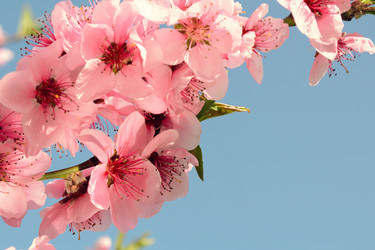 Similar image 13264946