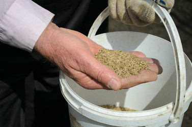 Similar image 13264958