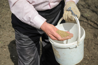 Similar image 13264960