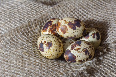 Similar image 13263579