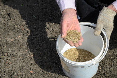 Similar image 13263580