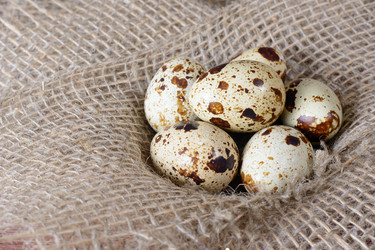 Similar image 13263582