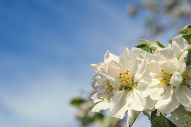 Similar image 13263583