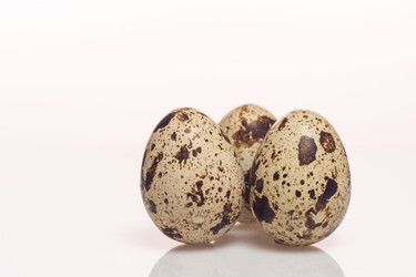 Similar image 13263588