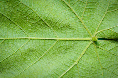 Similar image 13263634