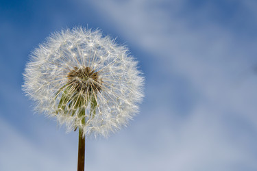 Similar image 13263619