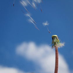 Similar image 13263638