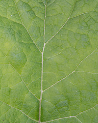 Similar image 13263639