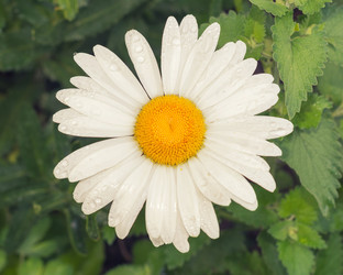 Similar image 13263640