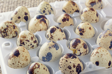 Similar image 13263652