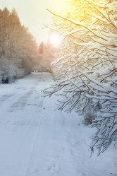 Similar image 13275636