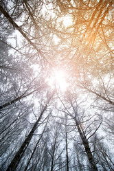 Similar image 13276330