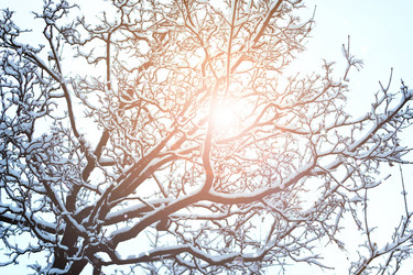 Similar image 13275756