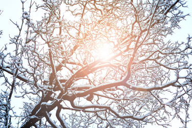 Similar image 13275794