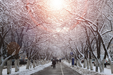 Similar image 13276578