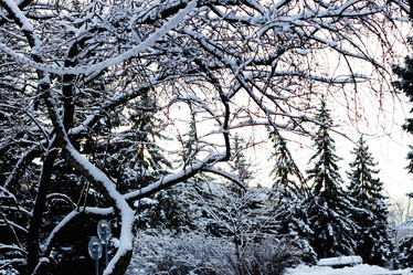 Similar image 13277530