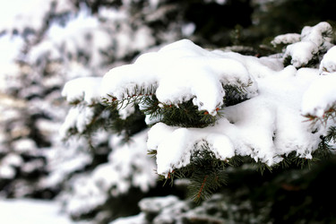 Similar image 13277828