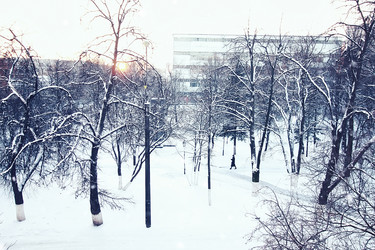 Similar image 13276579