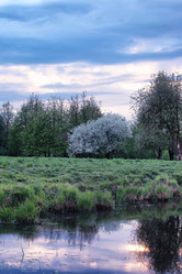 Similar image 13275316