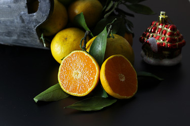 Similar image 13276625