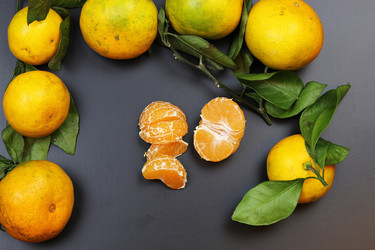 Similar image 13278187