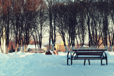 Similar image 13274628